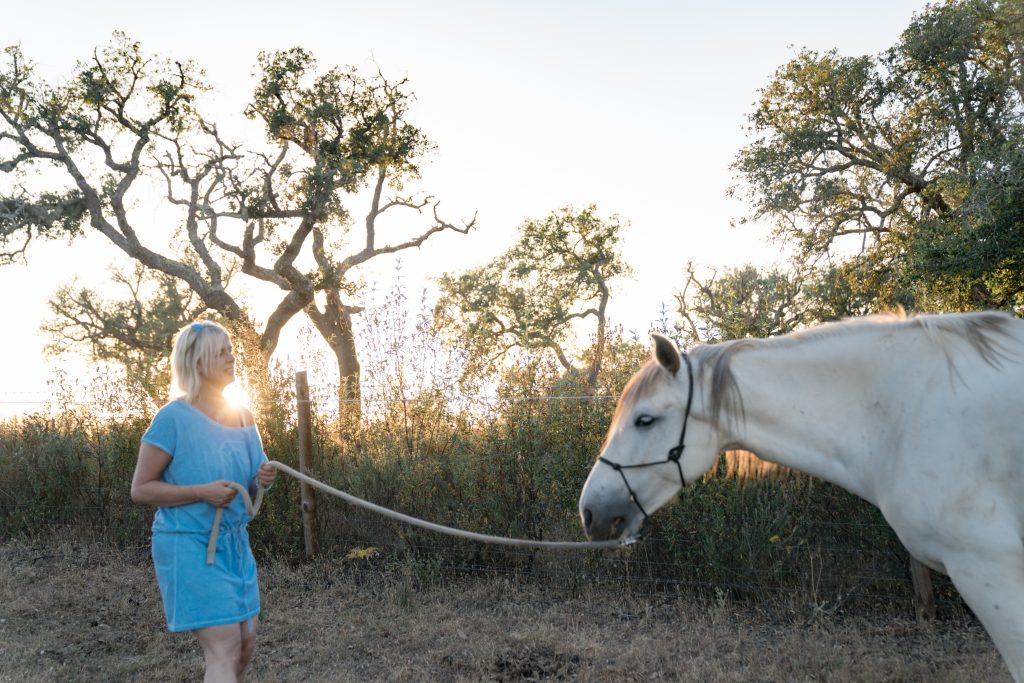 Pferd mit Frau im Abendlicht im Alentejo. Eine Szene aus einem pferdegestützten Coaching in Portugal.