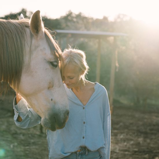 Frau im Abendlicht mit weißem Pferd ihr Kopf am Kopf des Pferdes Sinnbild für Erschöpfung von Angehörigen Burnout Betroffener